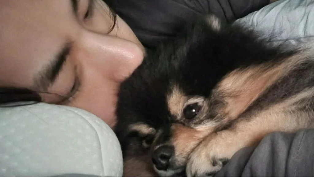 Taehyung y Yeontan.