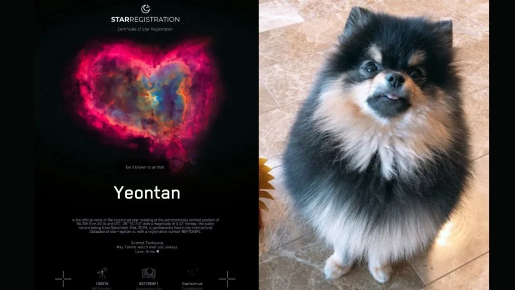 Una estrella eterna en memoria de Yeontan