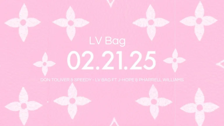 LV Bag